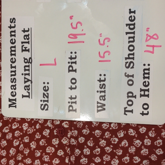 Reformation Brighton Shirt Dress in Red and White Rose Floral Print - Picture 9 of 9